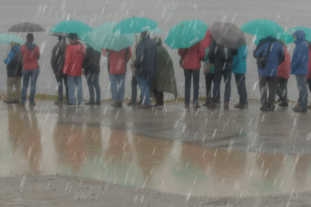 Rainy Day Umbrellas #